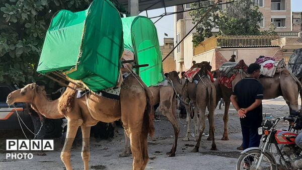 حرکت نمادین کاروان امام حسین (ع) به همت هیئت فاطمیون در میناب