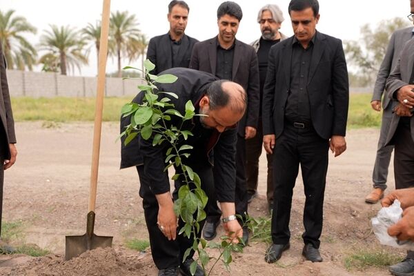 کاشت نهال نارنج به یاد دانش آموزان شهید مدرسه میناب