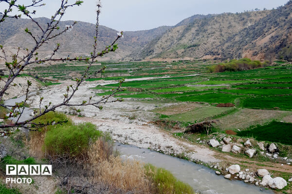 طبیعت روستای بیدله به هنگام بهار