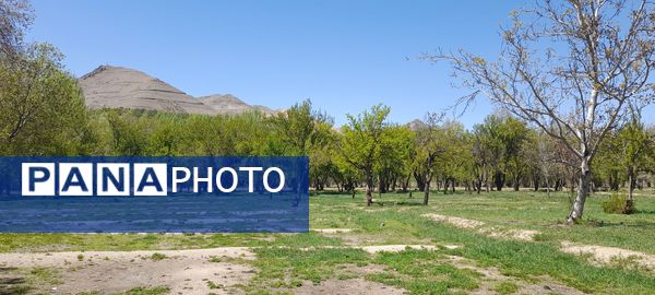 فصل بهار، فرصتی برای سر زندگی روح