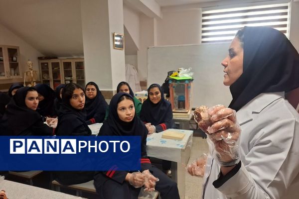 کارگاه تشریح قلب برای دانش آموزان فرزانگان شهرستان ملارد