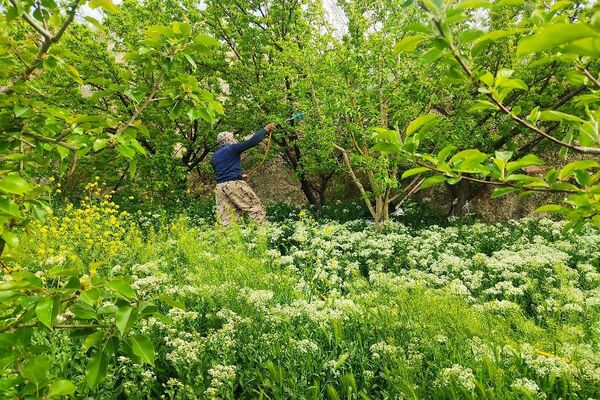 شهر زیبای بار، بهشت نیشابور