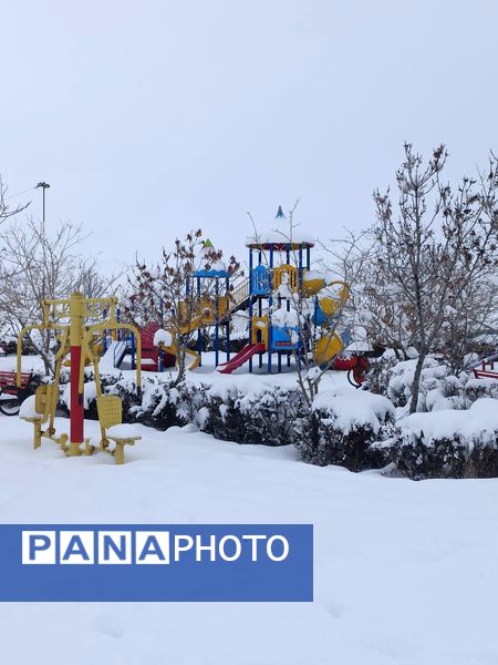 بارش برف جلوه ای از نعمت الهی در روزهای سفید باخرز
