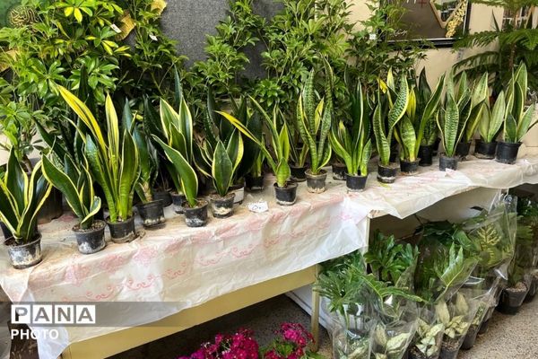 عطر گل‌ها و رنگ هنر در مدرسه فنی‌وحرفه‌ای هجرت به هم آمیخت