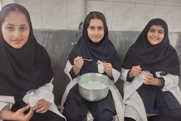 مزه شیرین علم، بستنی علمی