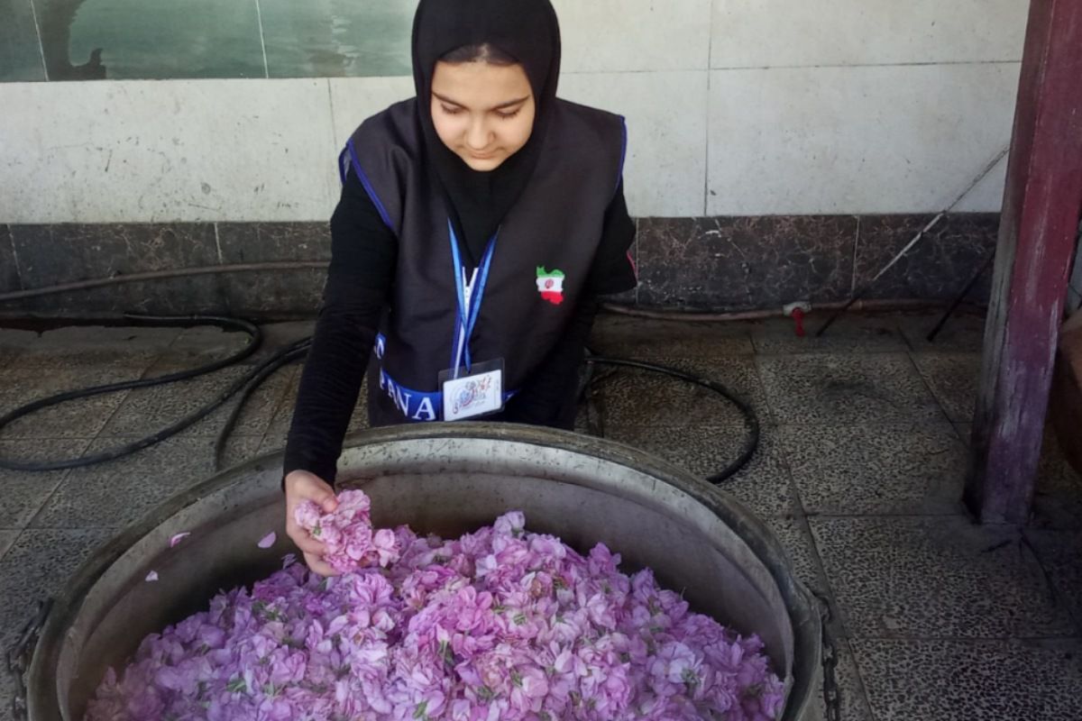 از گل محمدی تا داروهای گیاهی؛ جشنواره‌ای با عطر سلامتی در رباط‌کریم