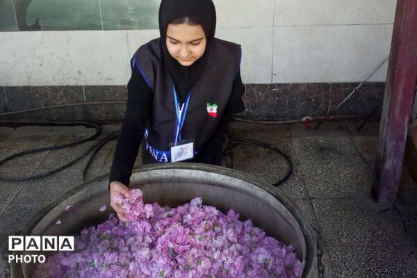 از گل محمدی تا داروهای گیاهی؛ جشنواره‌ای با عطر سلامتی در رباط‌کریم