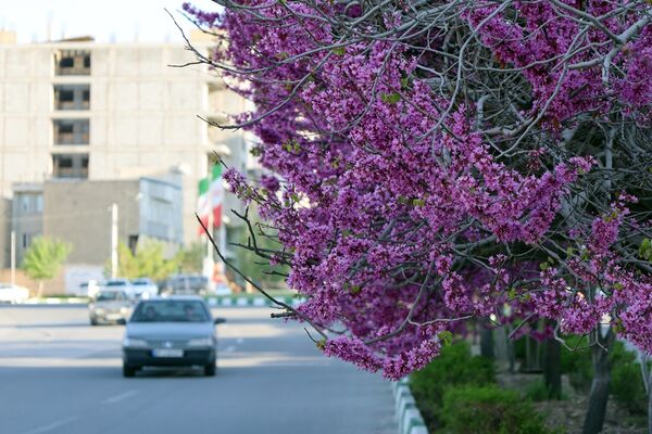 ارومیه شهر رویایی