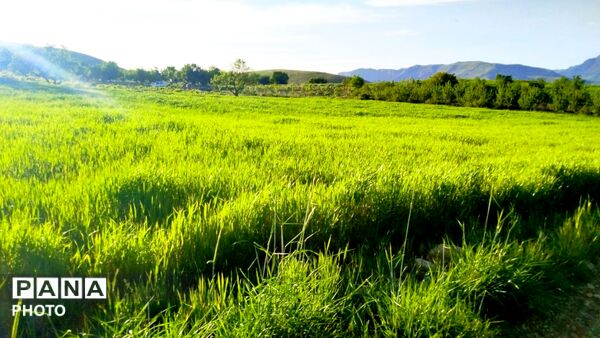 طبیعت دَستَنا؛ جلوه‌ای کم‌نظیر از آرامش و زیبایی در دل چهارمحال و بختیاری