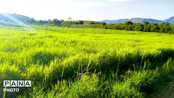 طبیعت دَستَنا؛ جلوه‌ای کم‌نظیر از آرامش و زیبایی در دل چهارمحال و بختیاری