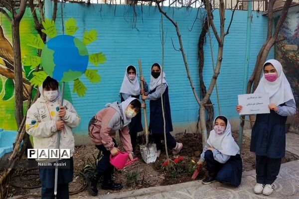 تشکیل قرارگاه جهادی سرو ایران