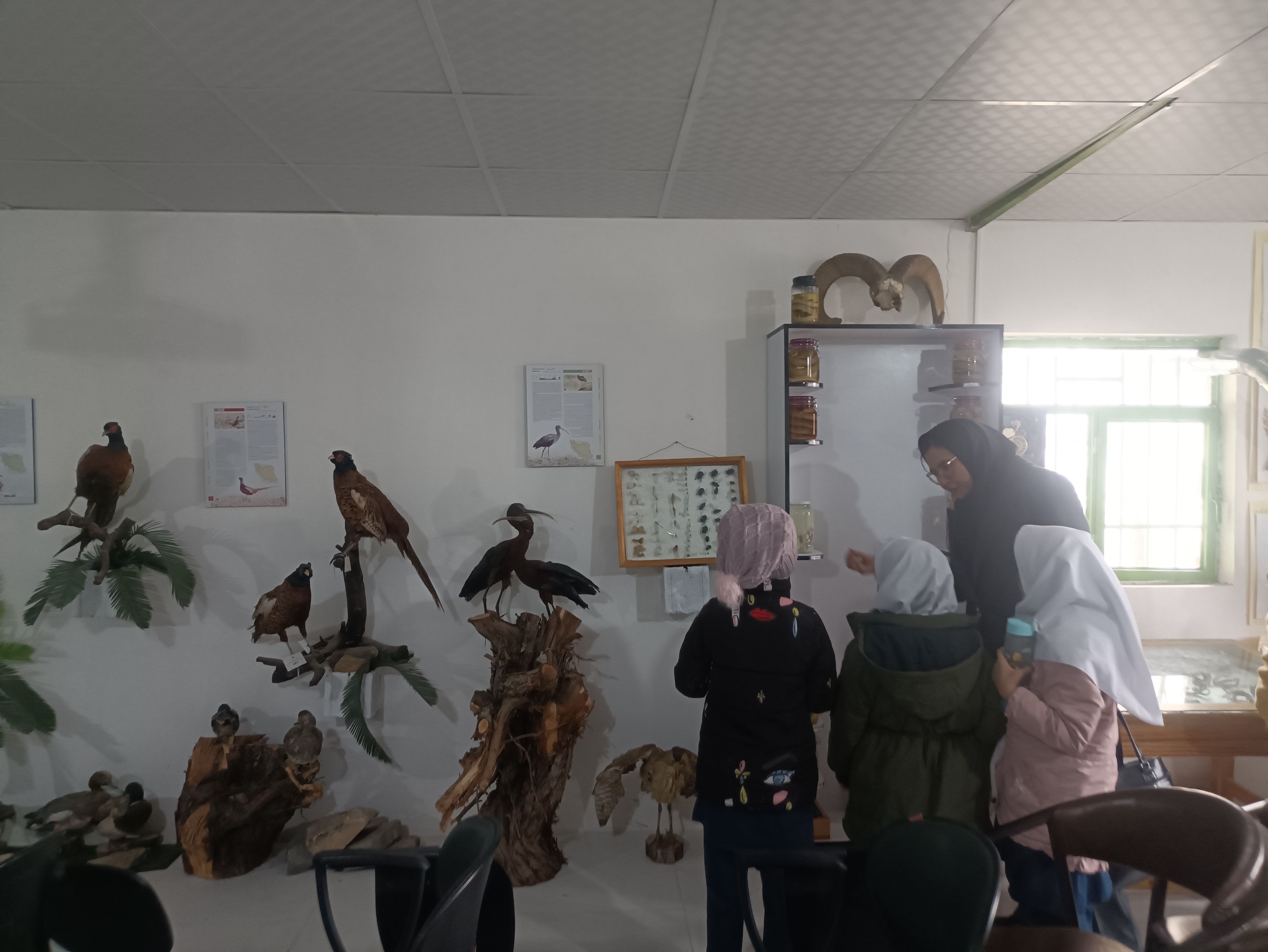بازدید دبستان دخترانه شاهد۲ حضرت رقیه(س)، از موزه حیات وحش شیروان