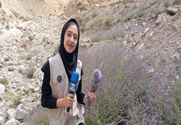 رشته کوهای شهر بار ذخیره گاه گیاهان دارویی خاص