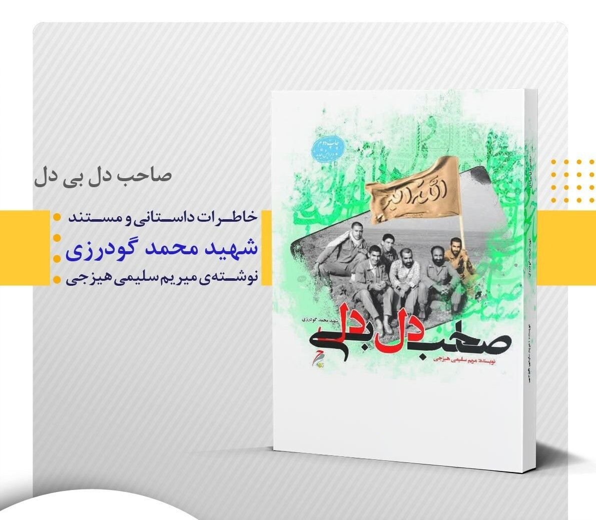 معرفی کتاب « صاحب دل بی دل »