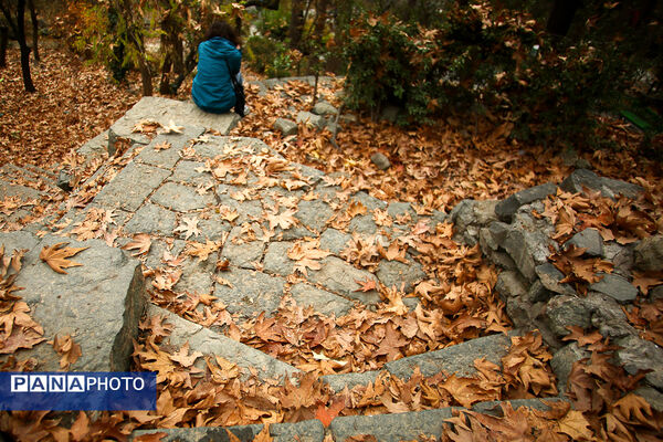 پاییز خیال انگیز در پارک جمشیدیه