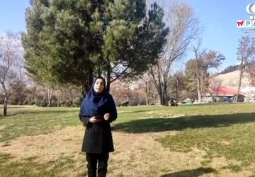 گرامیداشت روز قدردانی از دستان پینه‌بسته پدران در خرم‌آباد