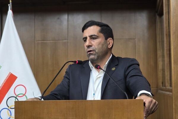 خیری نیا رئیس فدراسیون اسکیت شد