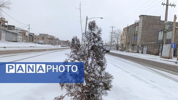 بارش نعمت الهی برف در شهرستان زیبای نیشابور 