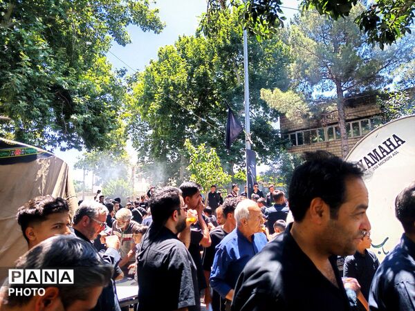 هیئت های کاشمر در پنجمین روز از ماه محرم 