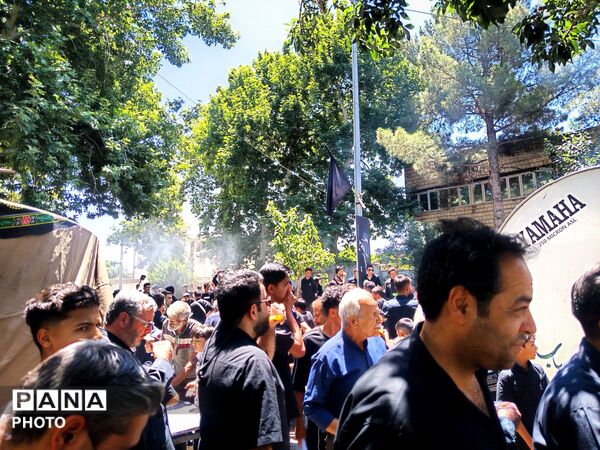 هیئت های کاشمر در پنجمین روز از ماه محرم 