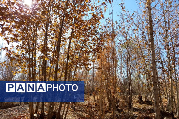 خزان زیبا در کوچه باغ‌های شهر بهمن