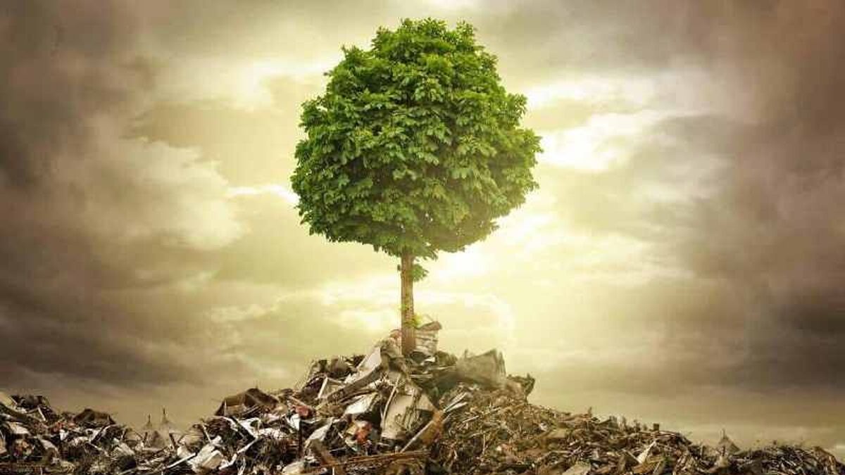 محیط زیست قربانی بی‌توجهی عمومی است