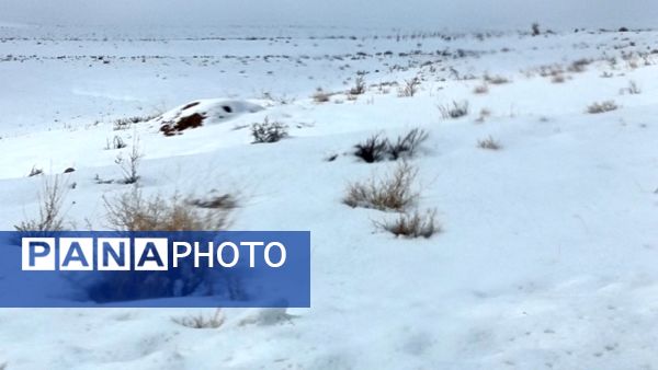 بارش برف زمستانی در روستای برزنون شهرستان نیشابور