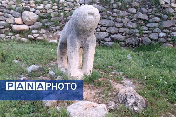 قبرستانی تاریخی و سرسبز به قدمت چند صد ساله در فارس