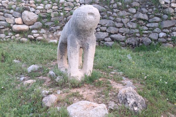 قبرستانی تاریخی و سرسبز به قدمت چند صد ساله در فارس