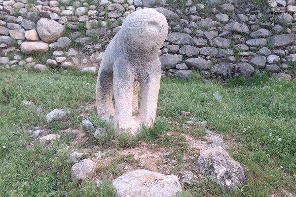قبرستانی تاریخی و سرسبز به قدمت چند صد ساله در فارس