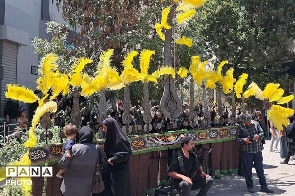 شکوه حضور مردم شیروان در حماسه اربعین