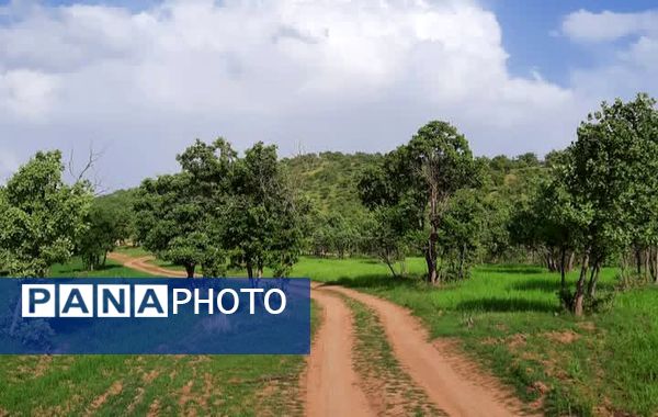 طبیعت سر سبز رفن به هنگام بهار