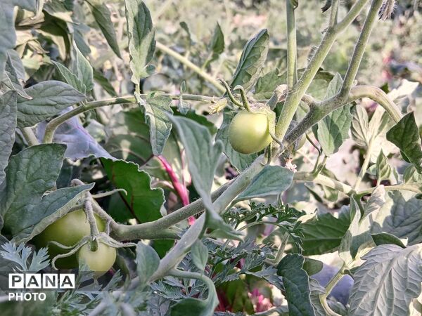 وقتی طبیعت، حرف می‌زند