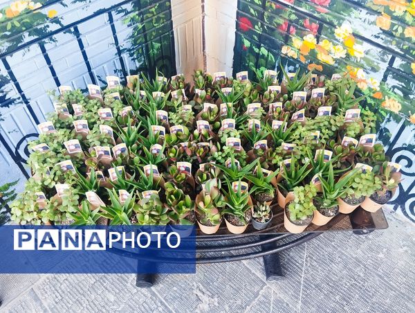 زنگ مهر، نوای امید در دبیرستان فرزانگان ۵ مشهد