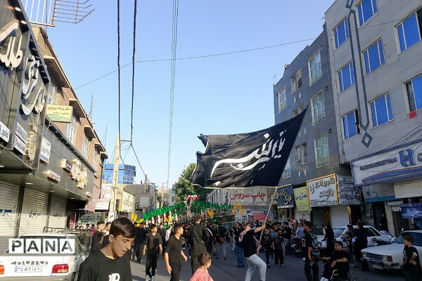استقبال پرشور مردم شهرک امیریه از کاروان نمادین اسرای کربلا