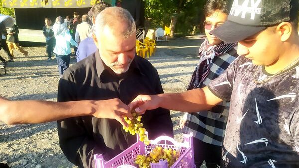 حرکت عاشقان به سوی مشهد الرضا(ع)