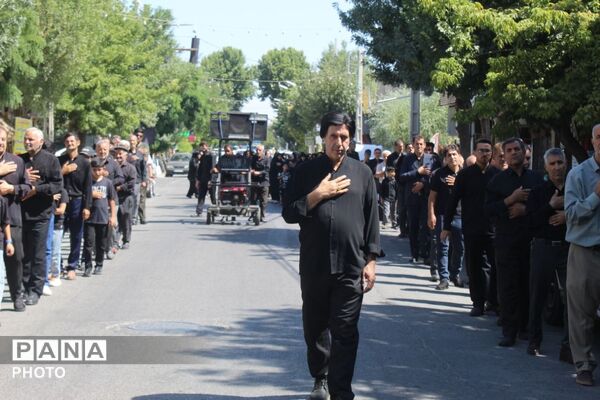 جاماندگان اربعین در ملکان؛ هم‌قدمی با کاروان عشق حسینی
