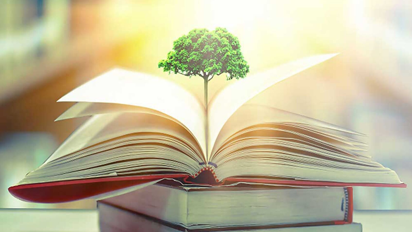 کتاب، گنجینه‌ای گران‌بها و همراهی وفادار برای دانش‌آموزان در فراز و نشیب زندگی است