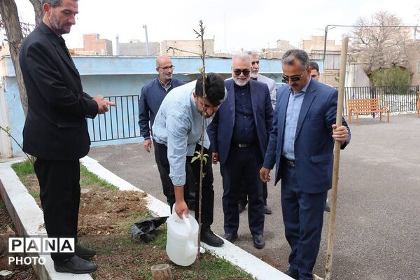 پویش کاشت نهال امید  