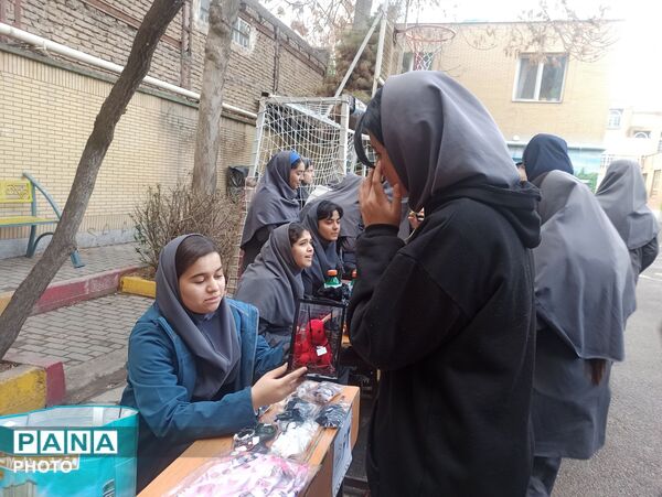 بازارچه کسب و کار دانش آموزی در دبیرستان دخترانه۱۳آبان 