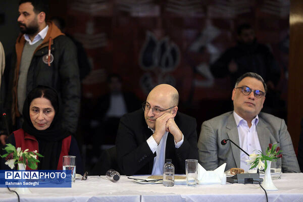 نشست معاون اول رئیس جمهور با جمعی از هنرمندان موسیقی، تئاتر و هنرهای تجسمی