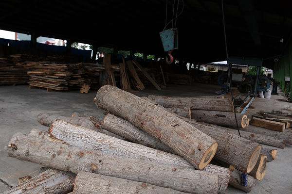 بازدید نماینده دولت و وزیر آموزش و پرورش از پروژه‌های عمرانی شهرستان سوادکوه