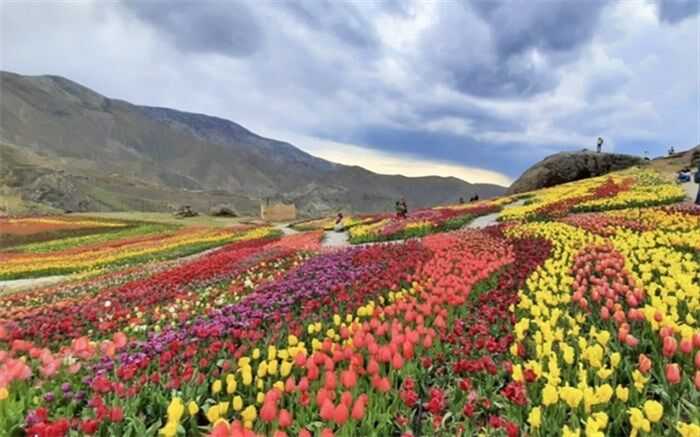 سفر مجازی دانش آموزان البرز به باغ لاله های کندر