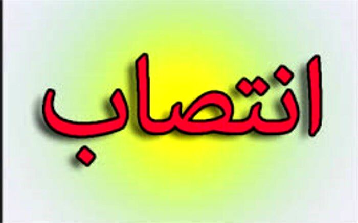 مدیرعامل منطقه ویژه پارس جنوبی معرفی شد