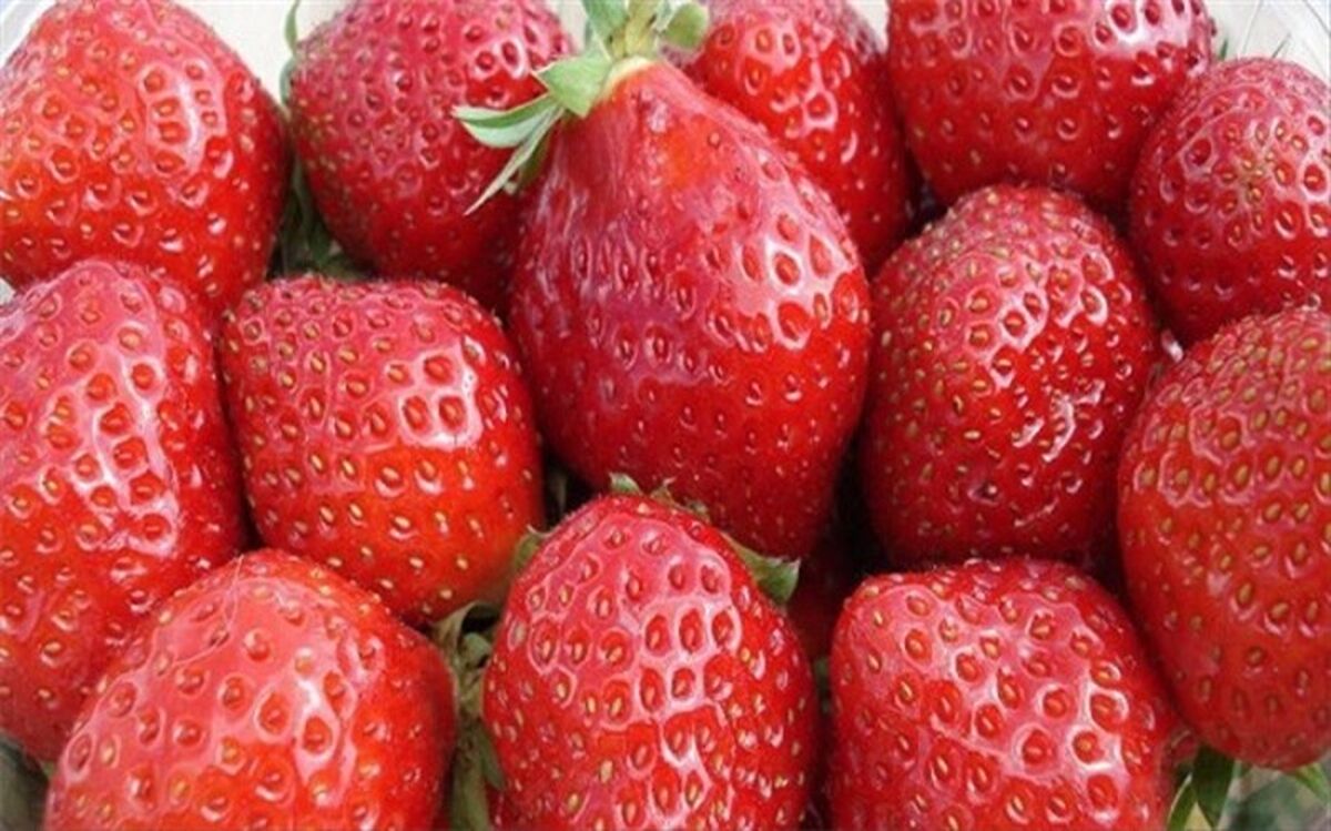 فواید حفاظتی مصرف توت و سیب و چای در برابر آلزایمر