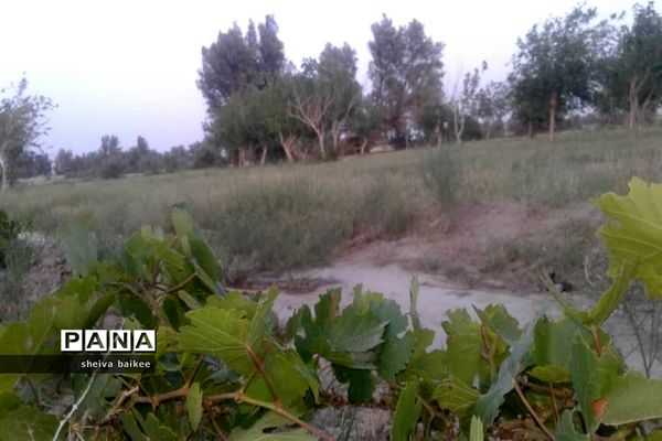 طبیعت زیبا و بکر سیستان پس از دو دهه خشکسالی