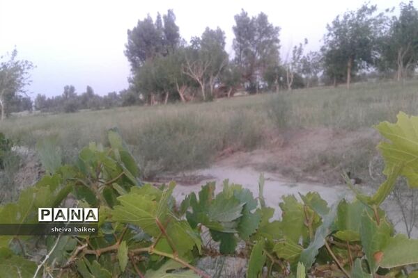 طبیعت زیبا و بکر سیستان پس از دو دهه خشکسالی