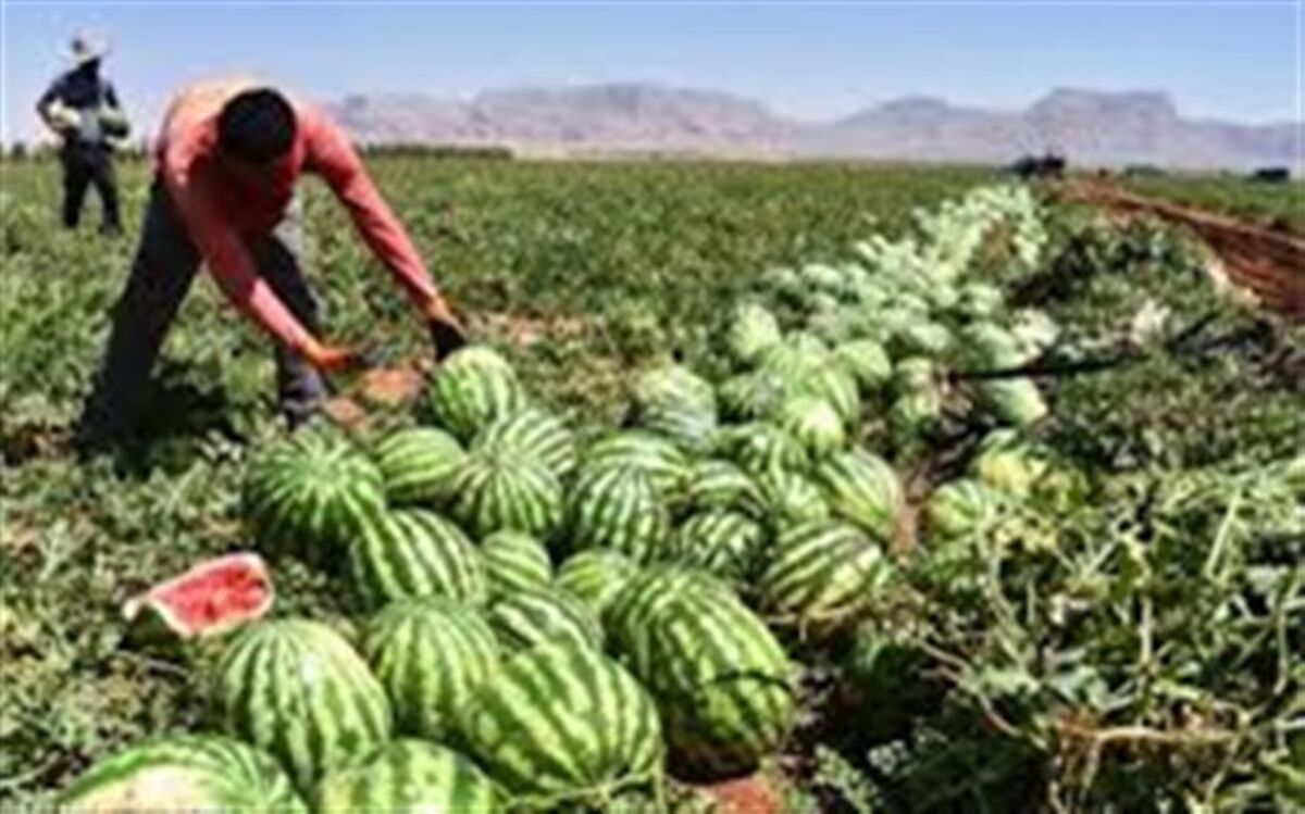 برگشت ۶ واگن هندوانه صادراتی ایران از ترکیه
