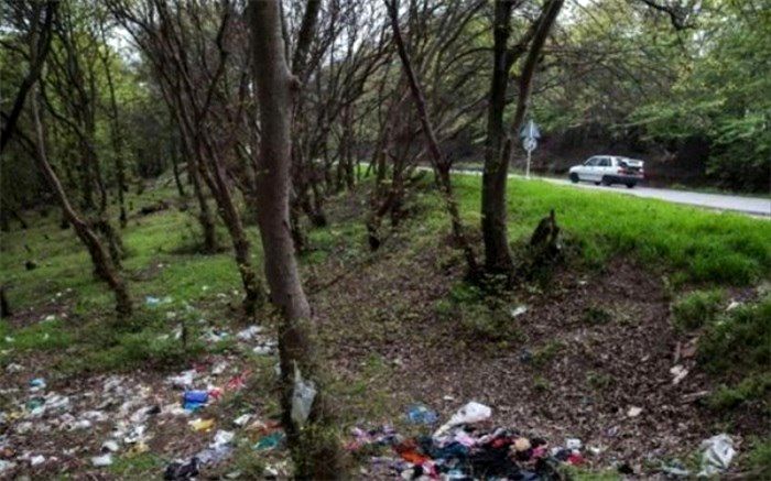 آنتراکتی پیش از تخریب دوباره جنگل‌ها!