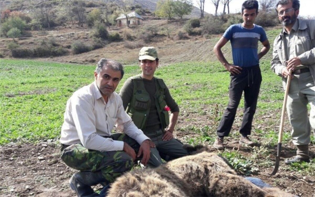 دوستی خاله خرسه طبیعت گردها با حیات‌وحش!